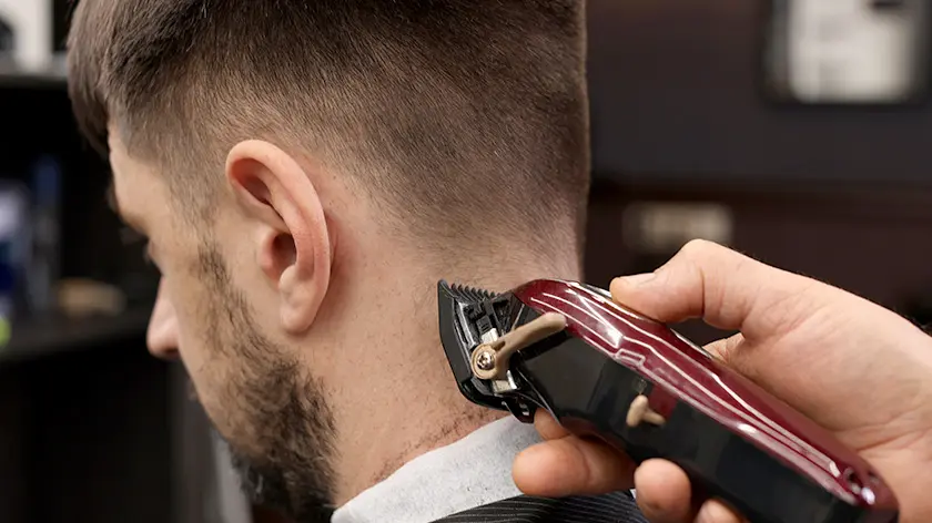 How to choose the best trimmers and clippers